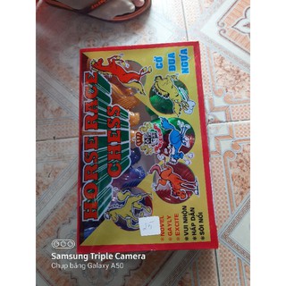 Cờ cá ngựa hộp kiếng