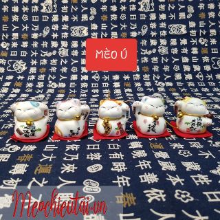 SET 5 MÈO MAY MẮN THẢM ĐỎ 4CM