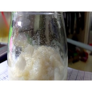 Mẻ chua cơm mẻ 500ml .