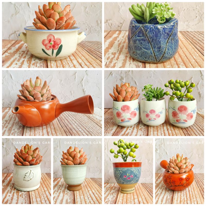 chậu ly gốm nhật
