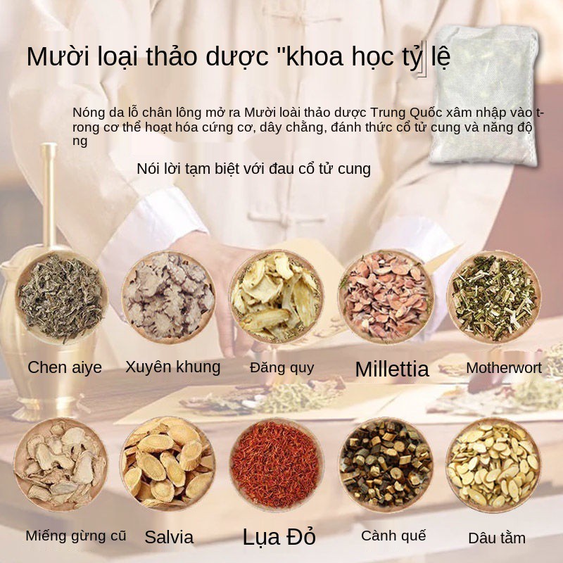 Sửa chữa Gối cổ tử cung Đặc biệt kiều mạch Thuốc bắc Cassia Máy nén nóng Điều chỉnh sưởi ấm