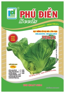 Hạt giống cải bẹ dưa PD717