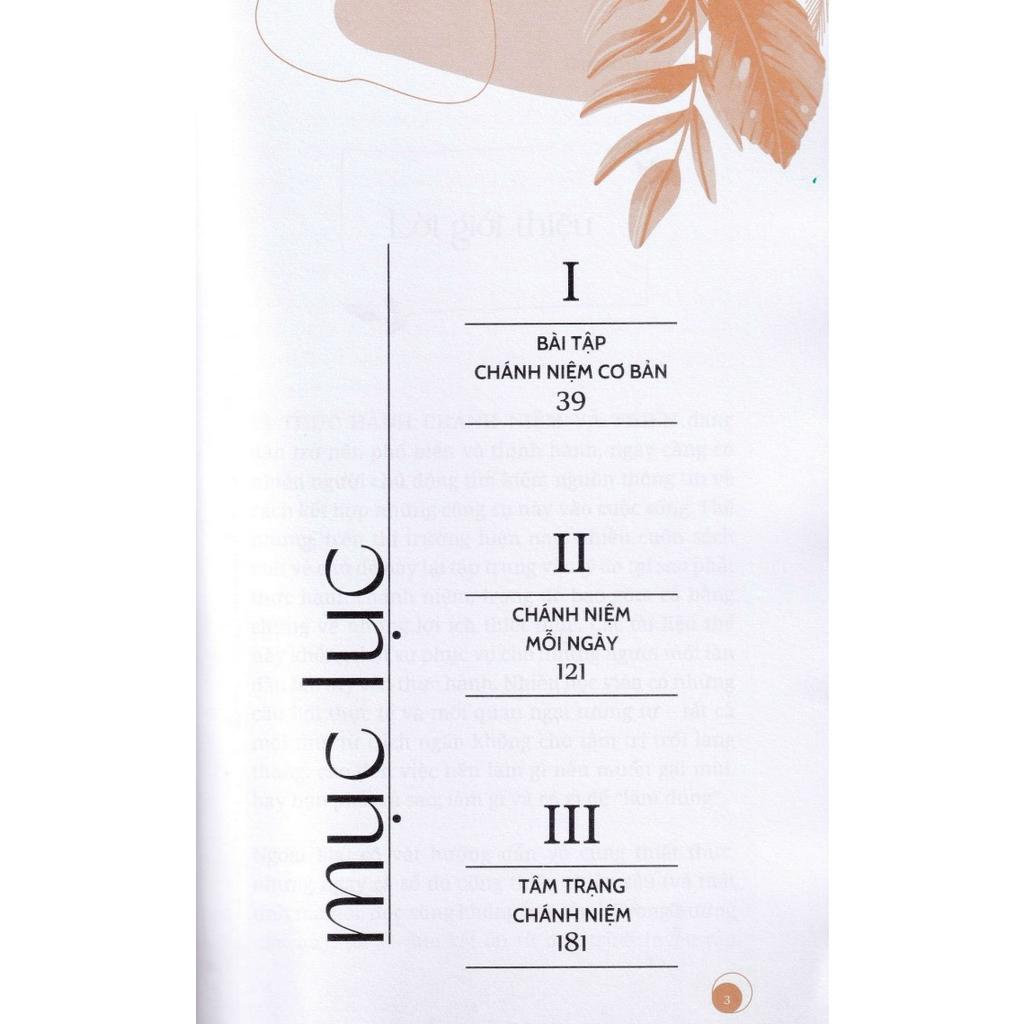 Sách - Thực Hành Chánh Niệm - Matthew Sockolov