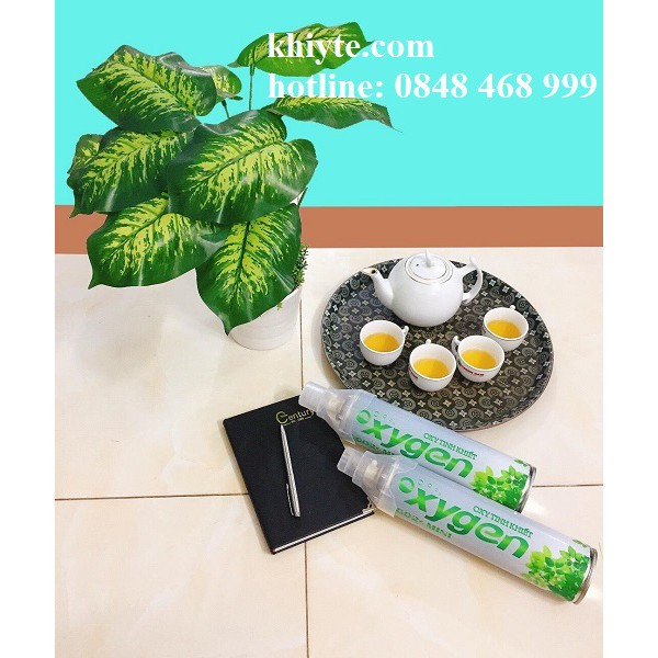 Bình Oxy mini cầm tay