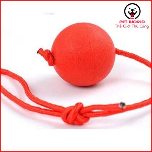 Đồ Chơi Bóng Cao Su Có Dây Huấn Luyện Chó Mèo