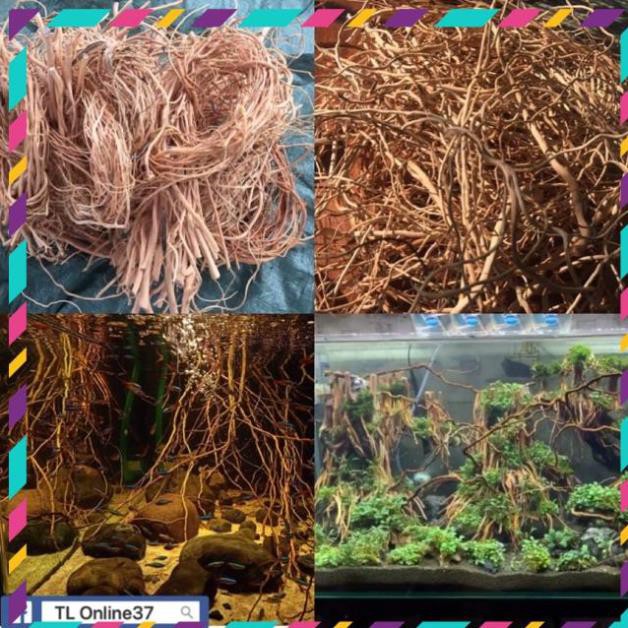[Siêu Rẻ] Rễ Rừng Set layout trang trí bể cá