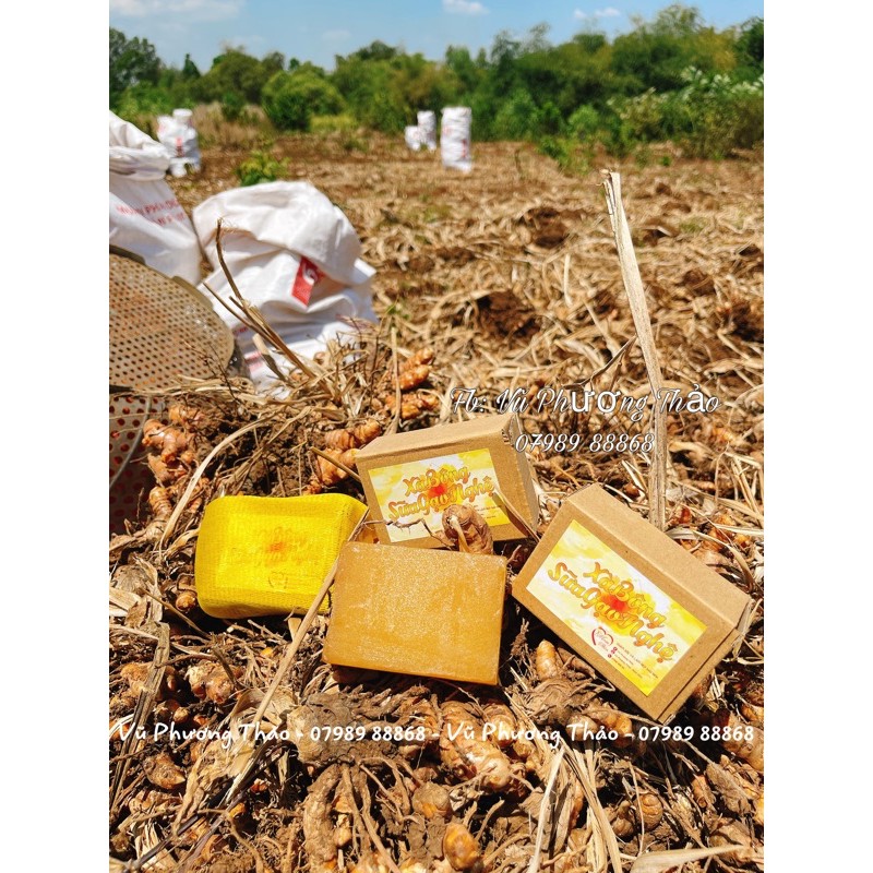 XÀ BÔNG TRẮNG DA SỮA GẠO NGHỆ | BigBuy360 - bigbuy360.vn