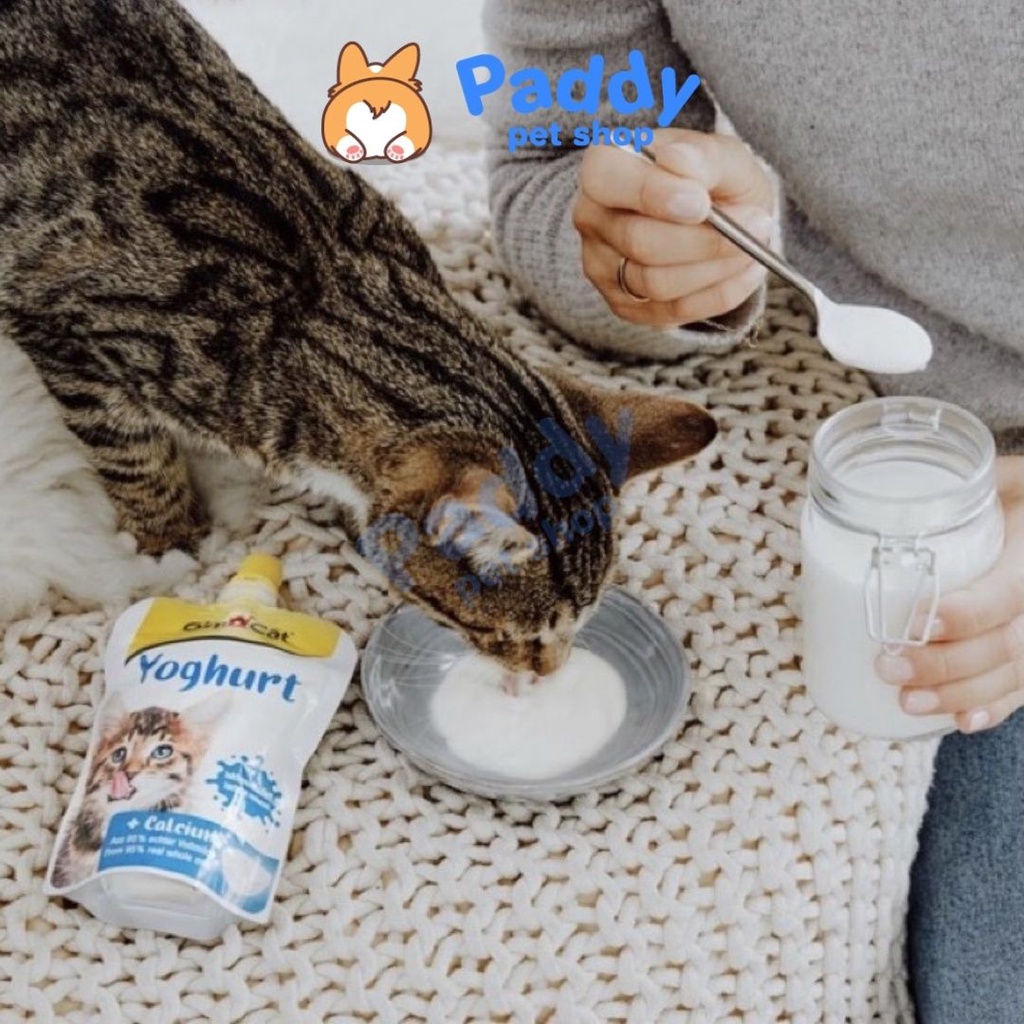 Sữa Dinh Dưỡng Cho Mèo Gimcat Latte Yoghurt Pudding