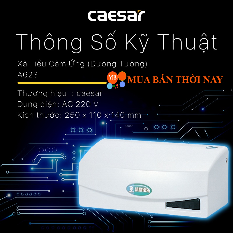 Bộ xả tiểu nam cảm ứng Caesar A623 dùng điện 220v