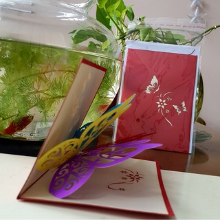 Thiệp 3D - Thiệp 2 con bướm 12cm x 15cm - VIMOA