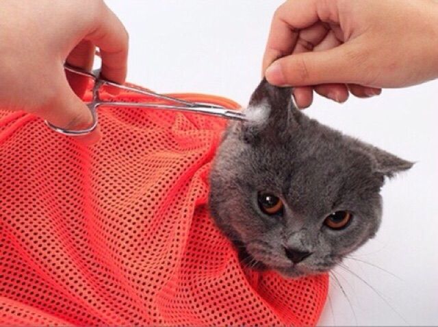 Túi lưới tắm cho mèo