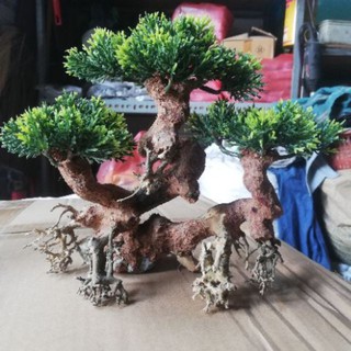 Cây giả gỗ Bonsai mini cho bể cá