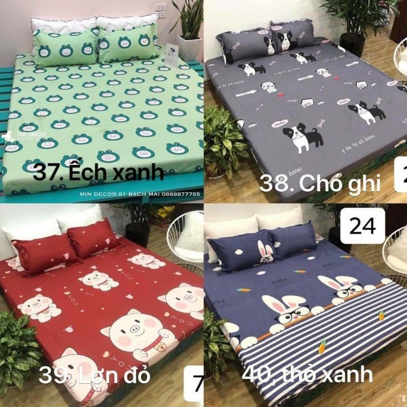 Bộ ga gối 💖m6/m8💖 drap giường poly, ga trải giường + 2 vỏ gối nằm đơn giản Bedding