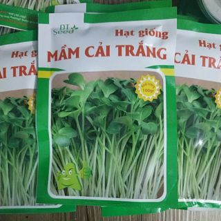 Combo 5 gói hạt giống rau mầm củ cải trắng new zeland