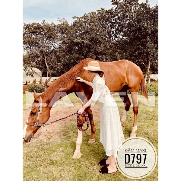 [Mã FAMARAL1 giảm 10K đơn 50K] Bigsize Đầm maxi D797 | BigBuy360 - bigbuy360.vn