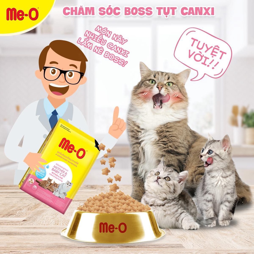 HẠT MÈO MANG THAI VÀ CHO CON BÚ    Me-o Mother &amp; Baby, cho con bú, mèo nhỏ tập ăn hạt bước đầu