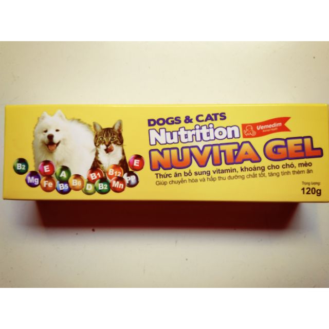 Gel dinh dưỡng dành cho thú cưng