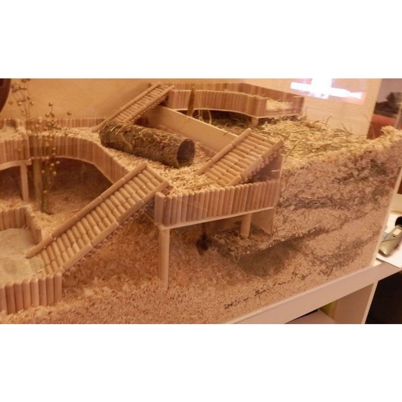 Chốt gỗ decor chuồng hamster, lồng hamster kích thước 8*40mm