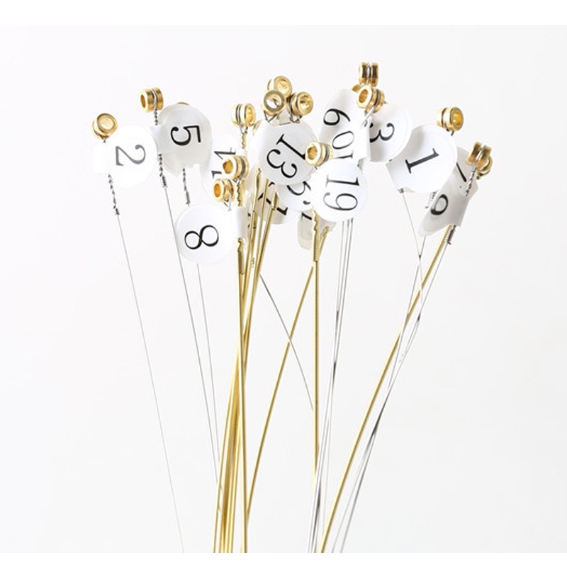 Bộ 19 dây đàn Lyre