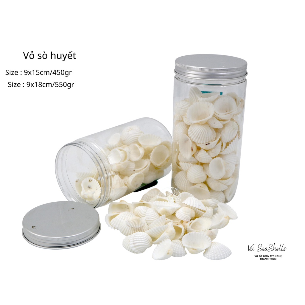 Vỏ Ốc Biển - Hủ Vỏ Sò Huyết  - Dùng Trong Trang Trí - Decor Chụp Ảnh