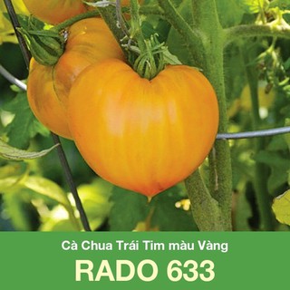 Hạt giống cà chua trái tim vàng