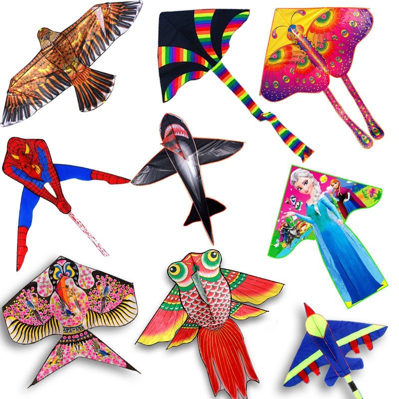 Zyshsd Women Clothes, Cửa hàng trực tuyến | BigBuy360 - bigbuy360.vn