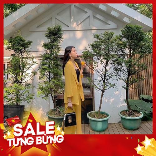 Set vest nữ áo vest 6 khuy quần xuông ống rộng HÀNG CỰC ĐẸP XẢ LÔ GIÁ SHOCK