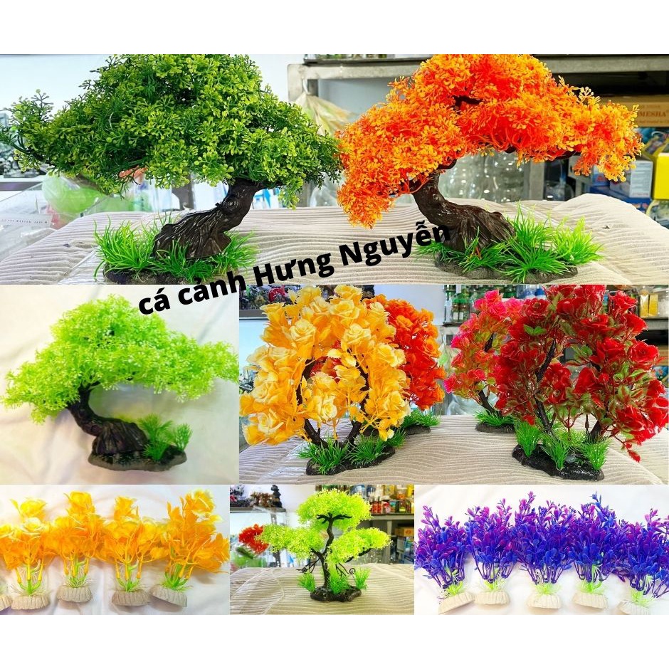 Cây Bonsai nhựa nhiều màu trang trí hồ cá thủy sinh giá giảm sâu | cá cảnh Hưng Nguyễn