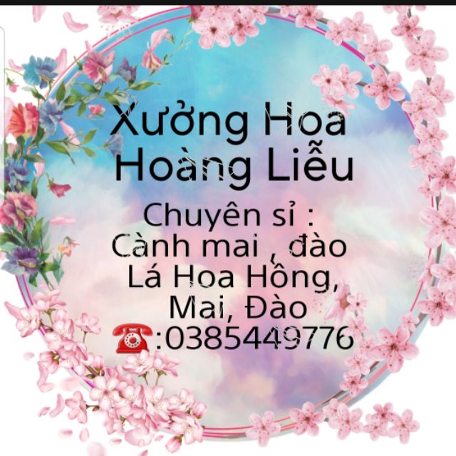XUONGHOAHOANGLIEU
