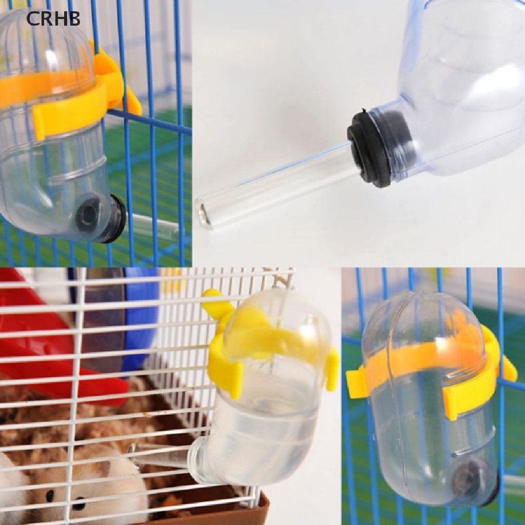 Bình Uống Nước Tự Động Cho Thỏ / Chuột Hamster Mới