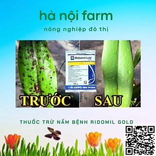 Ridomil Gold 68WP( Đặc trị thối nhũn Nấm bệnh cây trồng ) gói 100g
