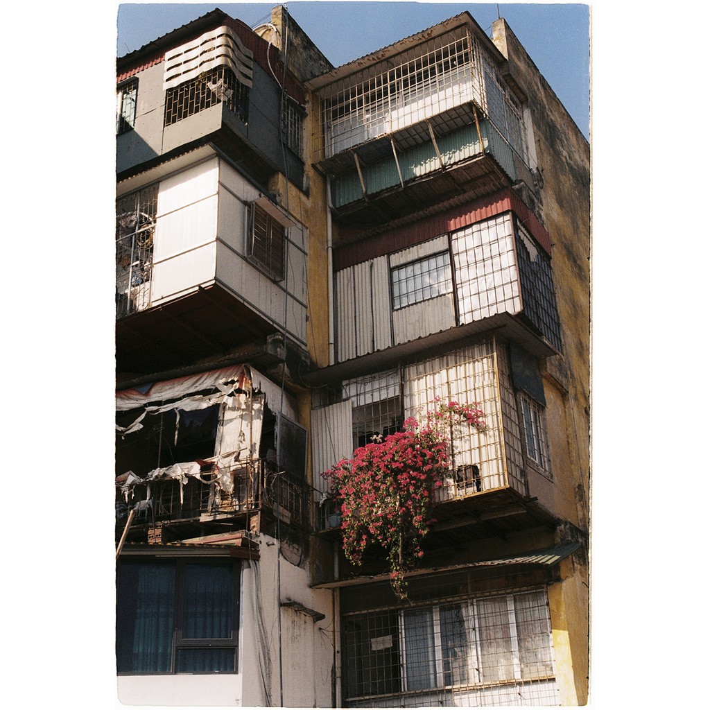 Film Âm Bản Kodak UltraMax 400 - 36exp - Date T8/2025