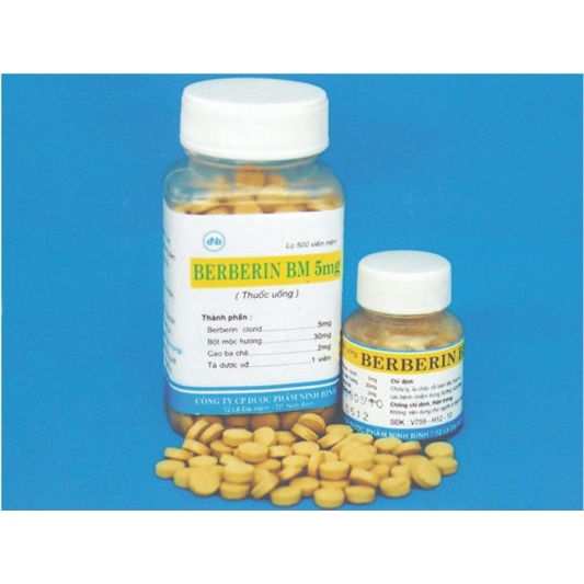 BERBERIN LỌ TO 500 viên_Hỗ Trợ cầm tiêu chảy, kiết lỵ, viêm đại tràng cấp và mãn tính