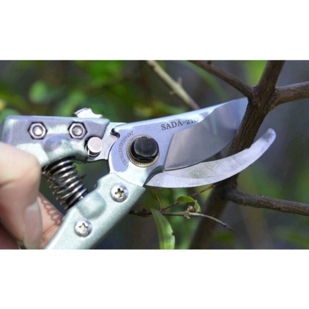 Kéo cắt tỉa cành SADA - 210 ( Nhật Bản)