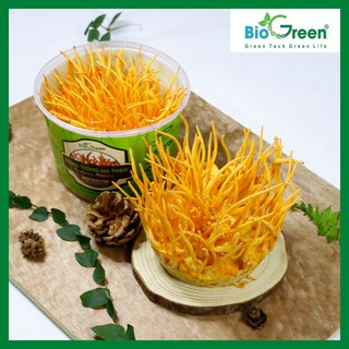Đông Trùng Hạ Thảo Tươi Nguyên Đế Tròn Biogreen