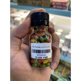 Kẹo trái cây kaytee chai 50ml
