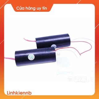 Module Tăng Áp 1000KV (Máy Đánh Lửa)