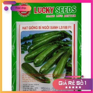 Hạt giống bí ngòi xanh dễ trồng ( 10 hạt) LUCKY.VN