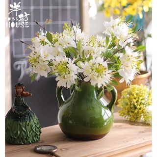 Hoa giả - Hoa phượng hoàng