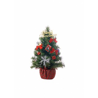 Bông tuyết diệu kỳ