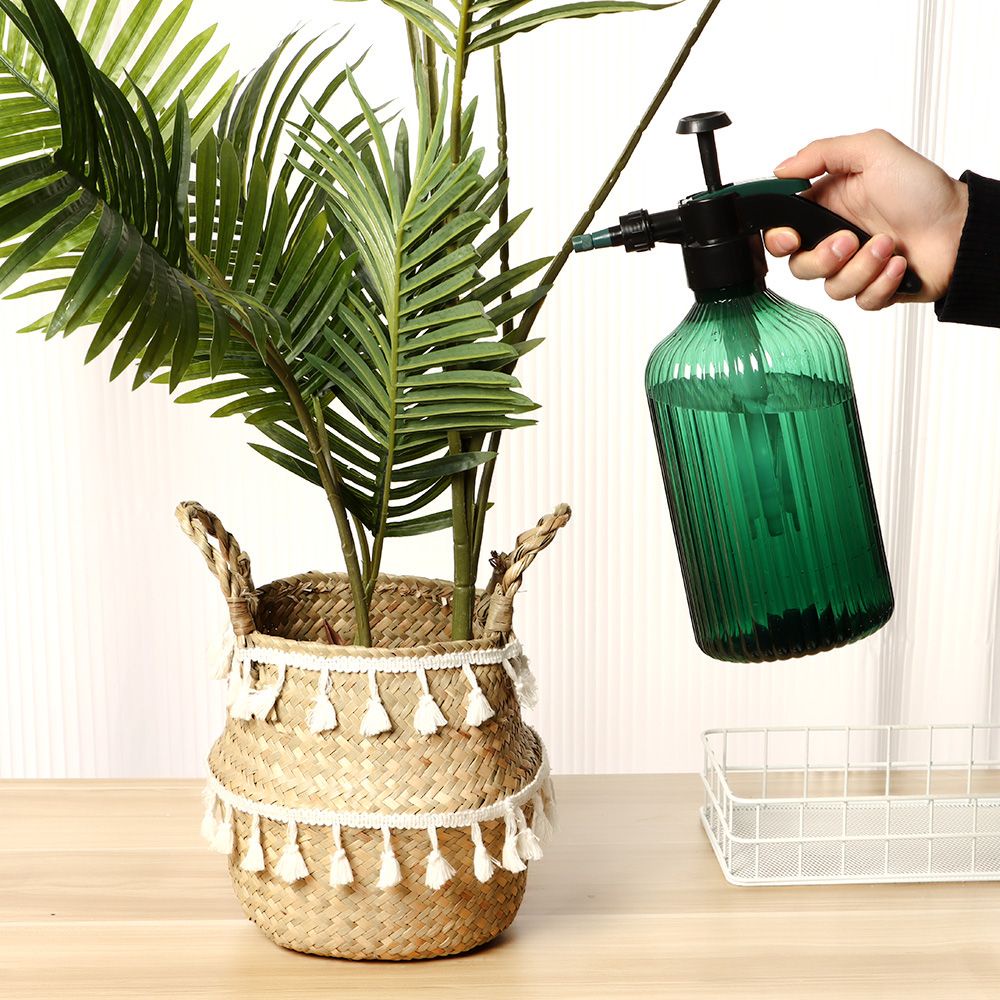 Bình xịt nước tưới cây áp suất cao dung tích lớn 2L tiện dụng