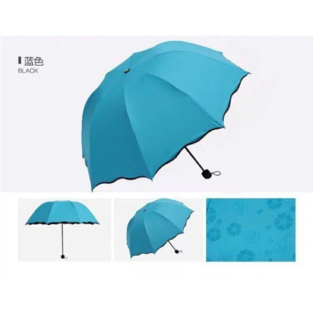 [GIÁ SỐC] ô nở hoa(ô gặp nước nở hoa)