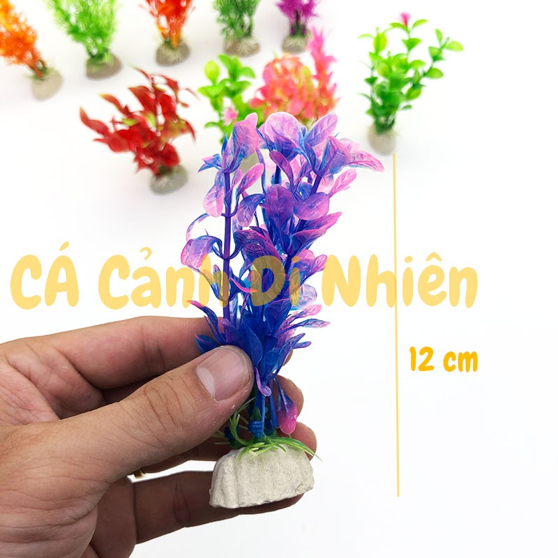 Cây rong nhựa trang trí hồ cá cảnh hòn non bộ size 12CM (đủ mẫu 1 cây)