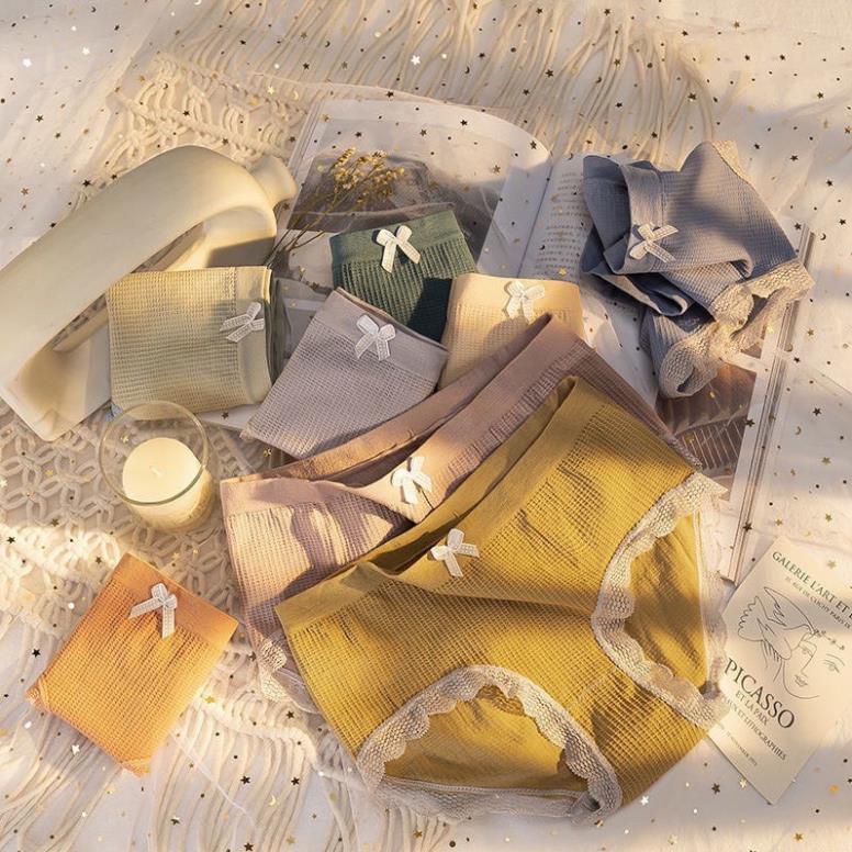 Quần Lót Cotton Nơ Tông Màu Solid Color - LADY