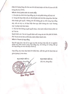 Cốm chùm ngây