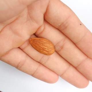 Hạnh nhân rang bơ vỏ mỏng mỹ
