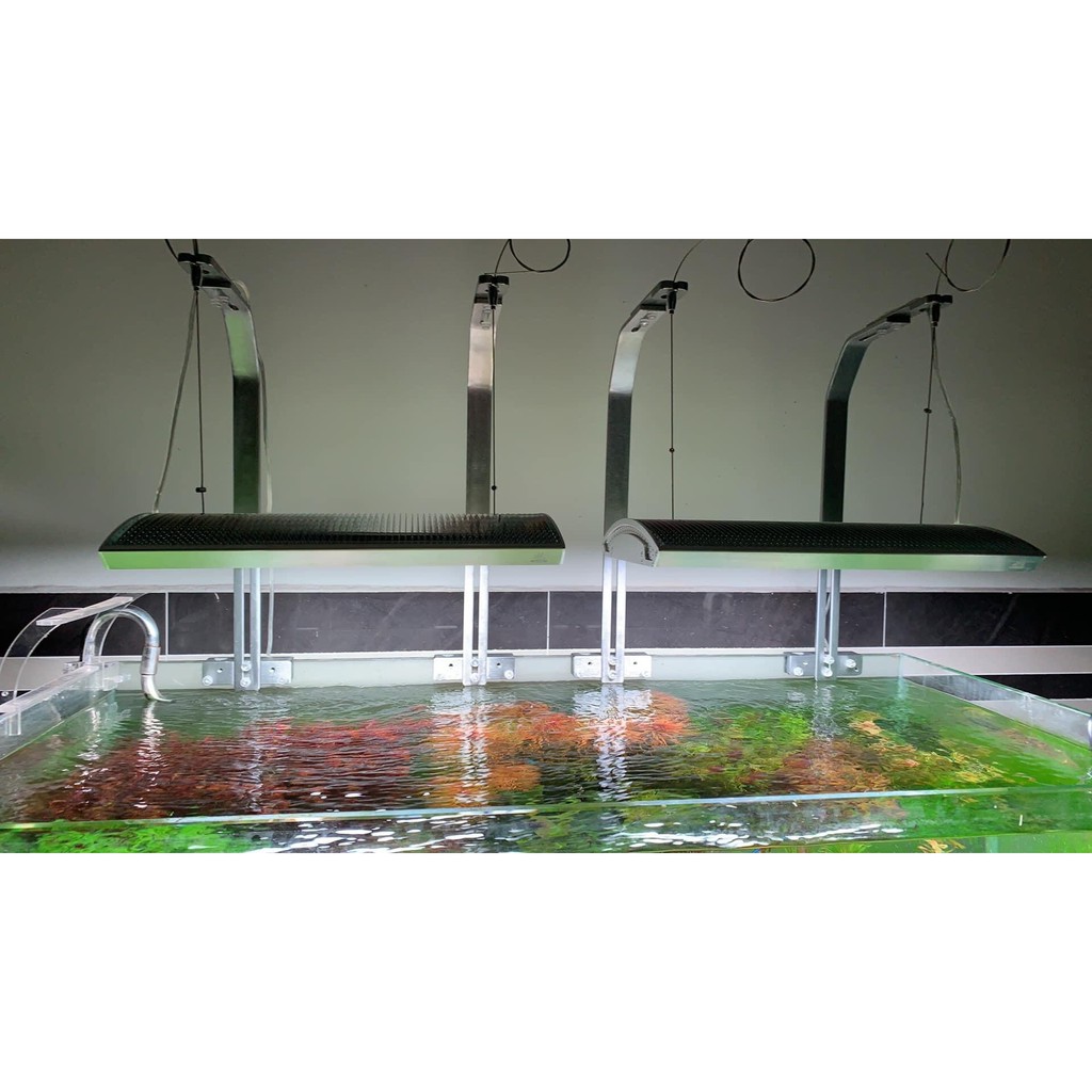 ĐÈN LED THỦY SINH WEEK ARK RGB