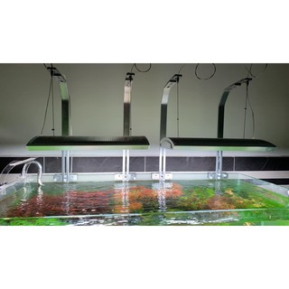ĐÈN LED THỦY SINH WEEK ARK RGB