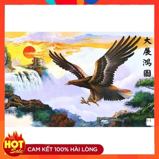[HOT] Tranh Decal Đại Bàng dũng mãnh HTT - DCDB01 (Có keo tích hợp sẵn)