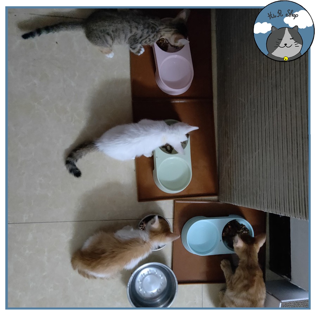 Thảm Đựng Chống Nước Đa năng Tiện Dụng,Thảm Dành Cho Máy Lọc Nước Tự Động Máy Uống Nước Đài Phun Nước Cho Chó Mèo